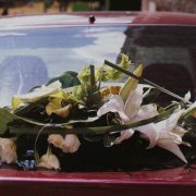 fleurir votre voiture
